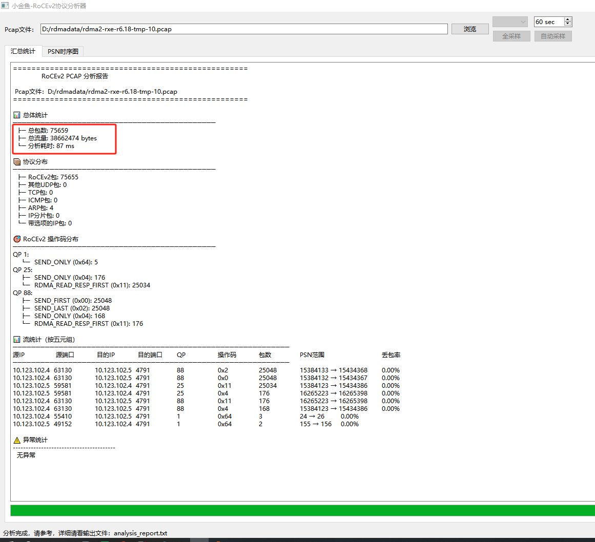 RoCEv2 分析器控统计报告