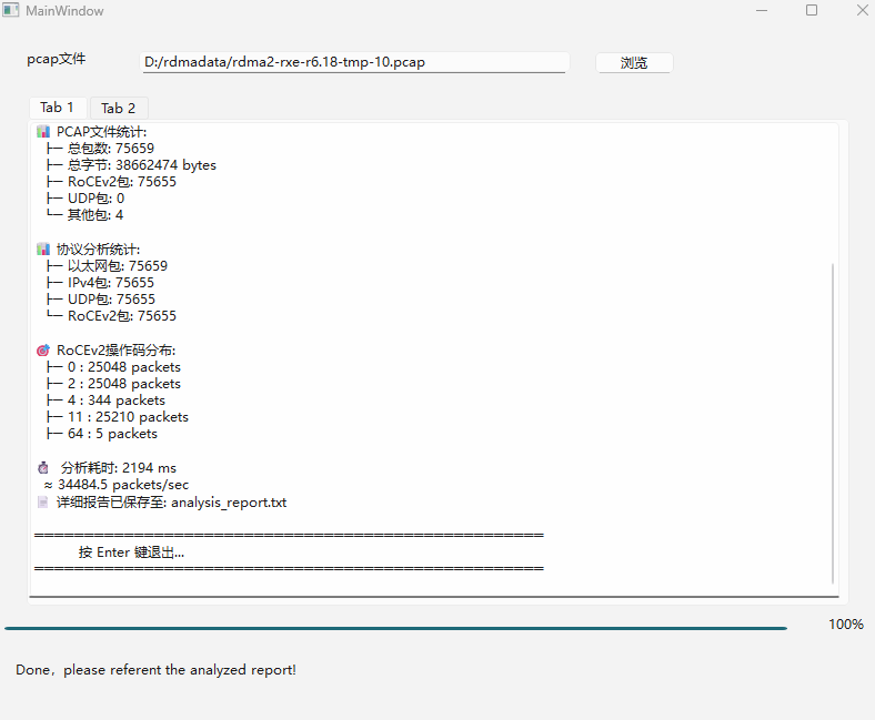 RoCEv2 分析器控制台输出