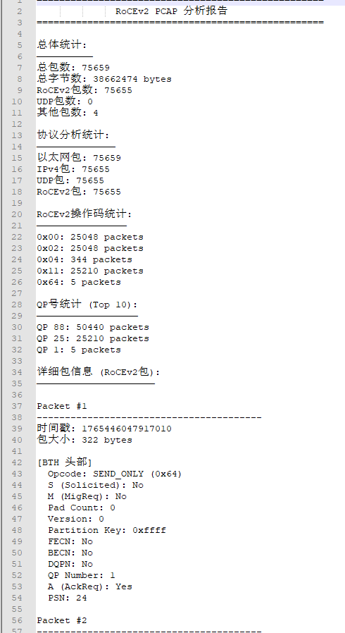 RoCEv2 分析器报告输出